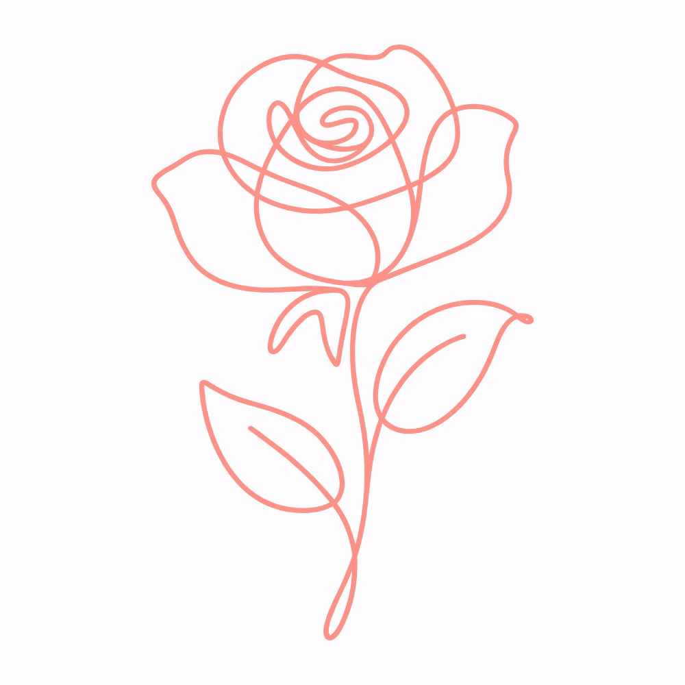 Rose illustration representing rose oil skincare